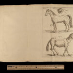 1741 HORSES Parfait Marechal de Garsault Illustrated Herbal Veterinary Medicine