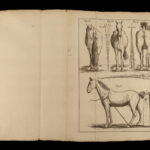 1741 HORSES Parfait Marechal de Garsault Illustrated Herbal Veterinary Medicine