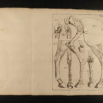 1741 HORSES Parfait Marechal de Garsault Illustrated Herbal Veterinary Medicine