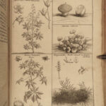 1741 HORSES Parfait Marechal de Garsault Illustrated Herbal Veterinary Medicine