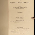 1840 BIRDS Art Ornithology Jardine Flycatchers Naturalist’s Library Color Plates