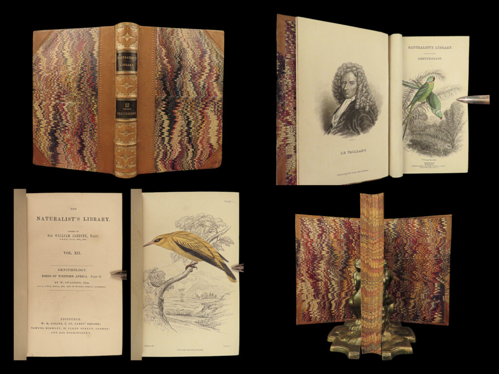 1840 birds ornithology william jardine western africa naturalist color plates | a scarce printing of volume twelve of “<em>ornithology</em>” from sir william jardine’s “<em>naturalist’s library</em>” entitled, “<em>birds of western africa</em>. <em>part ii. </em>” within jardine provides a fascinating early 19<sup>th</sup>-century survey on aerial wildlife. This scientific treatise provides 3r beautifully hand-colored engraved plates depicting various west african birds such as flycatchers, nightjars, bee-eaters, kinghunters, sunbirds, woodpeckers, cuckoos, terns, and more!