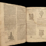 1602 HERBAL Medicine Castore Durante Herbario Nuovo Plants Illustrated Mattioli