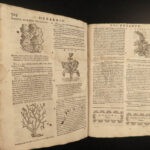 1602 HERBAL Castore Durante Herbario Nuovo Plants Medicine Illustrated Mattioli
