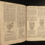 1602 HERBAL Castore Durante Herbario Nuovo Plants Medicine Illustrated Mattioli