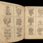 1602 HERBAL Castore Durante Herbario Nuovo Plants Medicine Illustrated Mattioli