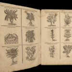 1602 HERBAL Medicine Castore Durante Herbario Nuovo Plants Illustrated Mattioli