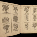 1602 HERBAL Castore Durante Herbario Nuovo Plants Medicine Illustrated Mattioli