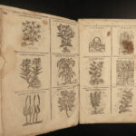 1602 HERBAL Medicine Castore Durante Herbario Nuovo Plants Illustrated Mattioli