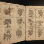 1602 HERBAL Castore Durante Herbario Nuovo Plants Medicine Illustrated Mattioli