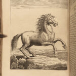 1713 HORSES Perfect Mareschal Solleysel Equestrian Veterinary Medicine Cavalry