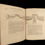 1713 HORSES Perfect Mareschal Solleysel Equestrian Veterinary Medicine Cavalry