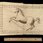 1713 HORSES Perfect Mareschal Solleysel Equestrian Veterinary Medicine Cavalry