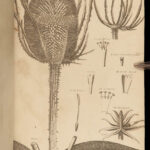 1812 1ed Elements of BOTANY Illustrated Flowers 176 Plant Engravings Linnaeus 2v