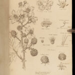 1812 1ed Elements of BOTANY Illustrated Flowers 176 Plant Engravings Linnaeus 2v