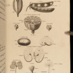 1812 1ed Elements of BOTANY Illustrated Flowers 176 Plant Engravings Linnaeus 2v