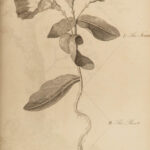 1812 1ed Elements of BOTANY Illustrated Flowers 176 Plant Engravings Linnaeus 2v