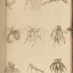 1812 1ed Elements of BOTANY Illustrated Flowers 176 Plant Engravings Linnaeus 2v