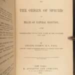1881 Charles Darwin ORIGIN of Species + Descent of Man Evolution Biology Science