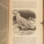 1881 Charles Darwin ORIGIN of Species + Descent of Man Evolution Biology Science