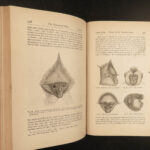 1881 Charles Darwin ORIGIN of Species + Descent of Man Evolution Biology Science