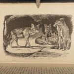 1899 The Jungle Books Rudyard Kipling Mowgli Baloo Illustrated 2v INDIA Disney
