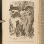 1899 The Jungle Books Rudyard Kipling Mowgli Baloo Illustrated 2v INDIA Disney