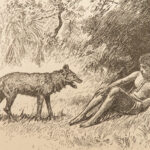 1899 The Jungle Books Rudyard Kipling Mowgli Baloo Illustrated 2v INDIA Disney
