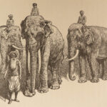 1899 The Jungle Books Rudyard Kipling Mowgli Baloo Illustrated 2v INDIA Disney