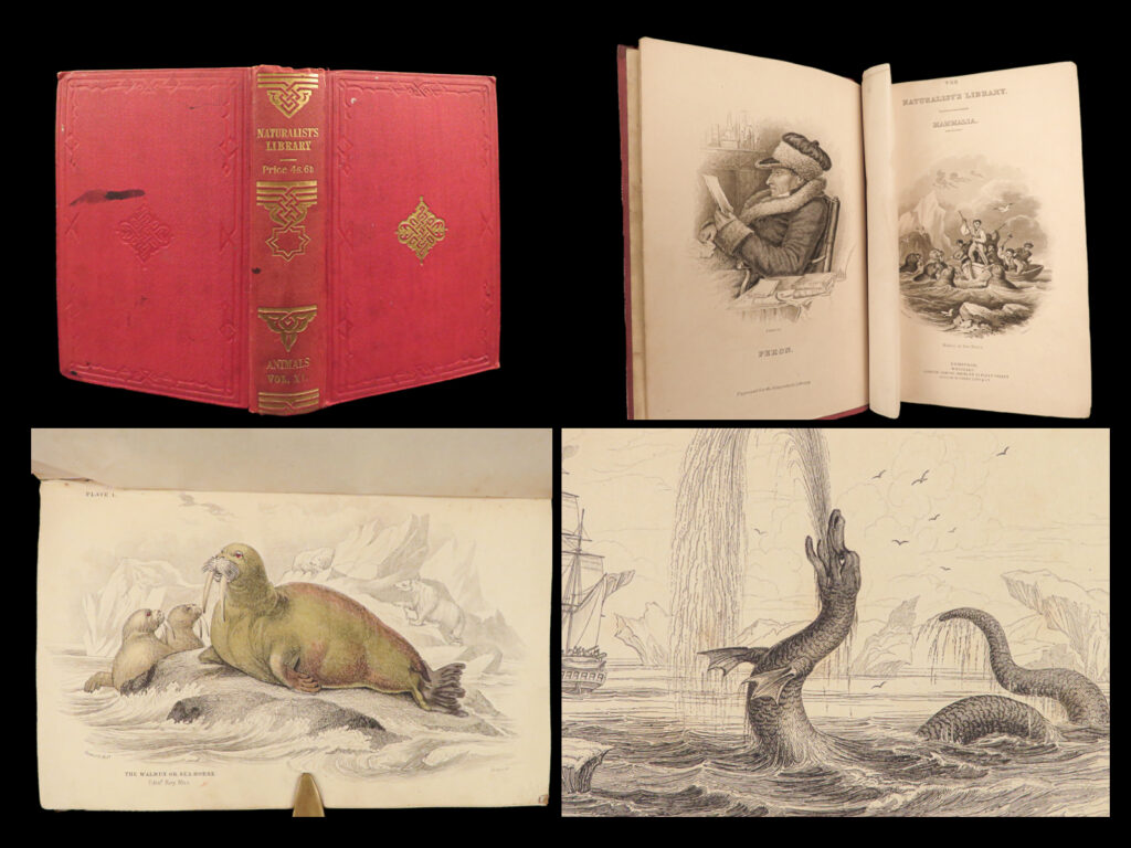 1839 sea monsters amphibious walrus seals naturalists jardine illustrated art | sir william jardine was a 19<sup>th</sup>-century scottish naturalist most known for his extensive series of books on natural history, ‘<em>the naturalist’s library’. </em> <em> </em> this 1839 edition of jardine’s ‘<em>mammalia</em>’ is beautifully color illustrated with 33 engravings of various species of ‘amphibious carnivora’ edited by robert hamilton. The plates from jardine’s works are exceedingly desirable and are found framed and displayed by themselves. This volume showcases illustrations and descriptions of the walrus, seal, sea-lions, manatee, sea-serpent, and more. This 1839 volume includes a memorial and portrait of francois peron.