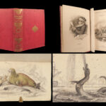 1839 SEA MONSTERS Amphibious Walrus Seals Naturalists Jardine Illustrated ART