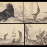 1839 SEA MONSTERS Amphibious Walrus Seals Naturalists Jardine Illustrated ART