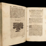 1652 Saint Augustine Letters Pope Boniface Hilary Bible Philosophy Theology RARE