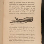 1856 Captain Nathan Hale 1st/1st AMERICAN REVOLUTIONARY WAR Biography Hero Spy