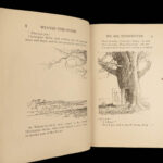 1926 TRUE 1st ed 1st Winnie the Pooh AA Milne Illustrated Children’s Literature