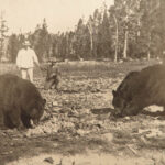 1905 THEODORE ROOSEVELT 1st ed Outdoors Pastimes American Hunter AFRICA Big Game