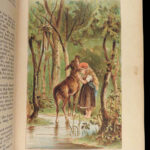 1880 Grimm’s Fairy Tales 1ed Brothers Grimm Hansel Grethel Red Riding-Hood Fable