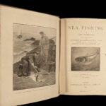 1889 FISHING Angling Whaling Salmon Trout Pike Illustrated FISH Whales 3v SET