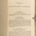 1831 BIRDS American Ornithology Scottish Alexander Wilson Audubon Species 4v