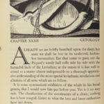 1930 Moby Dick Rockwell Kent ART 1ed Herman Melville Whaling Voyage Illustrated