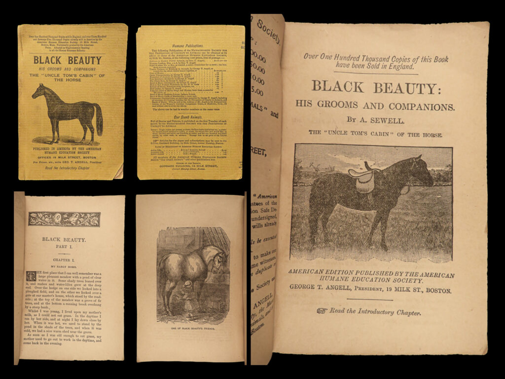 Why did Anna Sewell write Black Beauty?