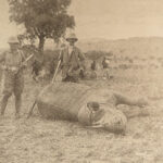 1910 Theodore Roosevelt 1ed African Game Trails HUNTING Expedition Illustrated