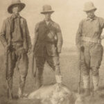 1910 Theodore Roosevelt 1ed African Game Trails HUNTING Expedition Illustrated