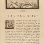 1757 Antiquity of Herculaneum Vesuvius Bayardi Pompeii Illustrated HUGE FOLIO