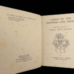 1927 FAIRY 1ed Fairies of the Flowers & Trees Fantasy Childrens Poetry Barker