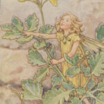 1927 FAIRY 1ed Fairies of the Flowers & Trees Fantasy Childrens Poetry Barker