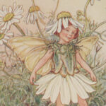 1927 FAIRY 1ed Fairies of the Flowers & Trees Fantasy Childrens Poetry Barker