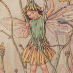 1927 FAIRY 1ed Fairies of the Flowers & Trees Fantasy Childrens Poetry Barker