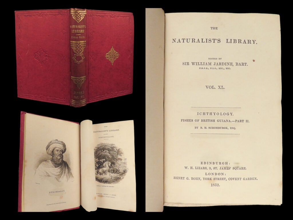 1852 fish art jardine naturalist ichthyology guiana natural history gar fishing | a significantly rare first edition of volume five of ‘<em>ichyology</em>’ from sir william jardine’s ‘<em>naturalist’s library</em>’ entitled, ‘<em>the natural history of the fishes of guiana</em>. ’ edited by sir william jardine and written by robert h. Schomburgk, esq. , this work provides a fascinating 19<sup>th</sup>-century survey on aquatic wildlife. This scientific treatise provides <strong>30 beautifully hand-colored engraved plates</strong> depicting a variety of fish native to the british guianas such as, gar, cychla, centrarchus, trygon, and much more! Also included is a portrait and memoir of swiss traveller and orientalist, john lewis burckhardt.