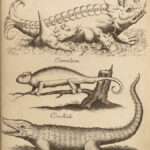 1699 BIBLE MAPS & Bestiary Lamy Illustrated Holy Land Judaica Animals Hebrews